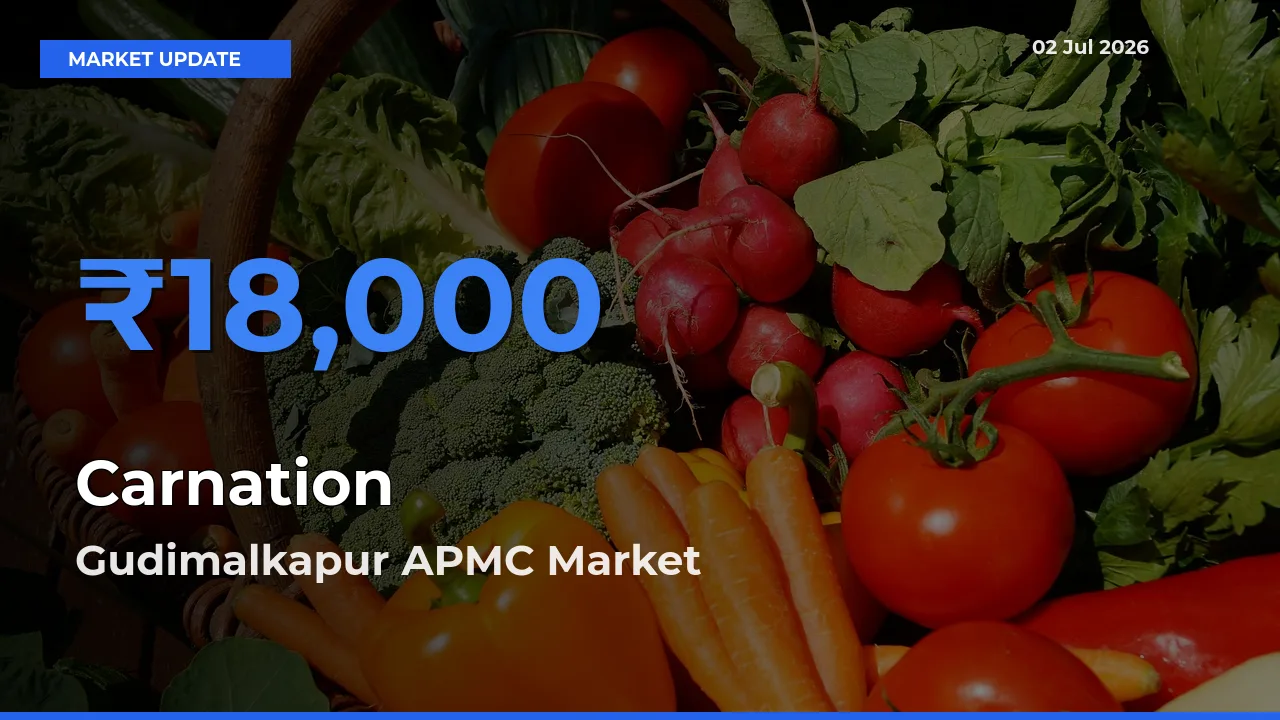 Gudimalkapur APMC Leads as Top Mandi for Carnation Prices
