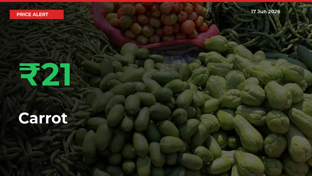 Sudden 20.89% Rally in Carrot Prices Across Mandis