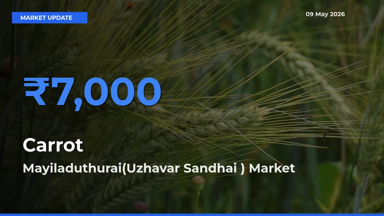 Farmers Prefer Mayiladuthurai(Uzhavar Sandhai ) as Carrot Hits Highest Rate