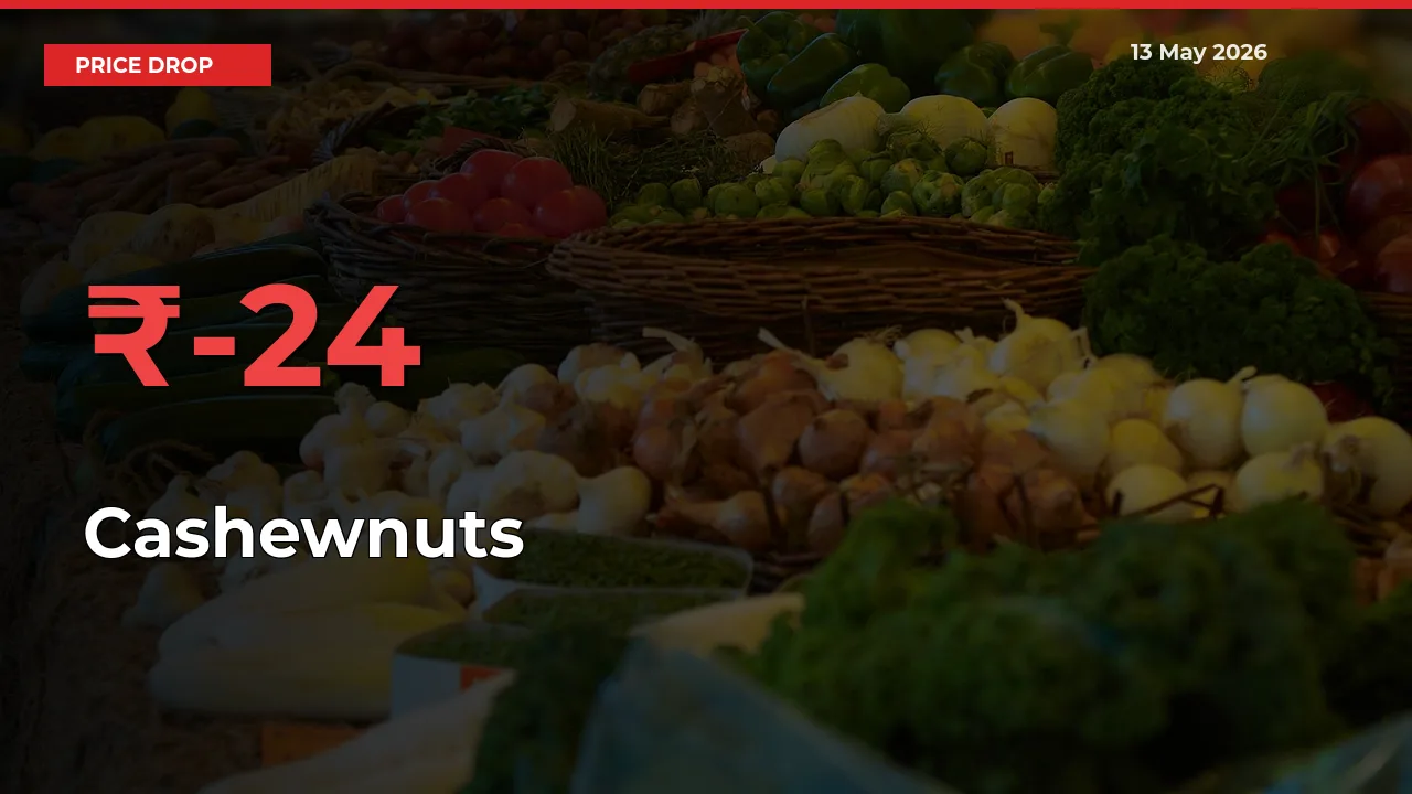 Farmers Alert as Cashewnuts Prices Slide 24.14% in Local Mandis