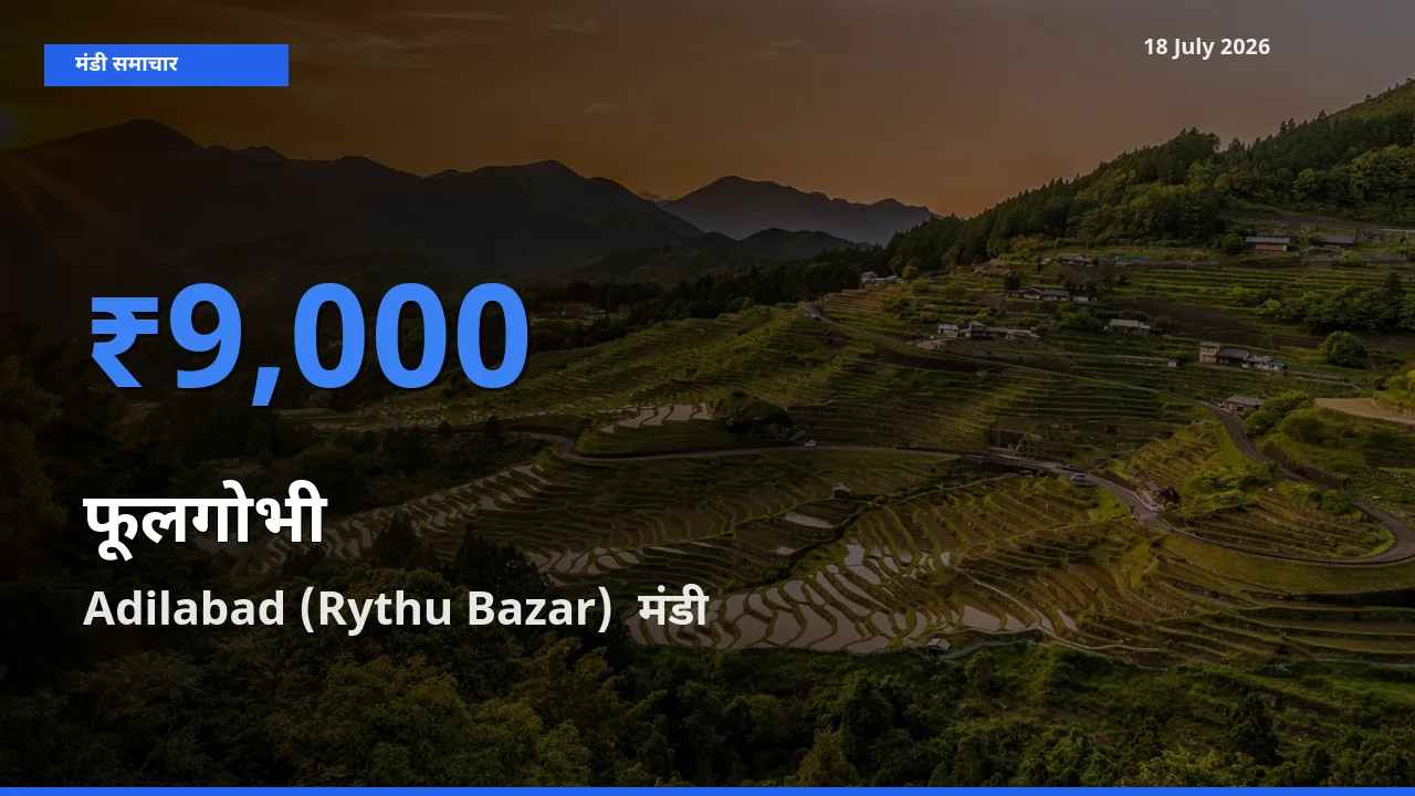 Adilabad (Rythu Bazar)  में फूलगोभी का आज सबसे ऊँचा भाव