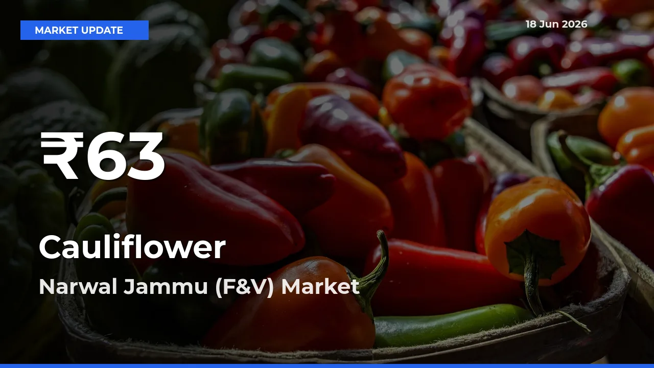 Cauliflower Hits 30-Day Low in Narwal Jammu (F&V)