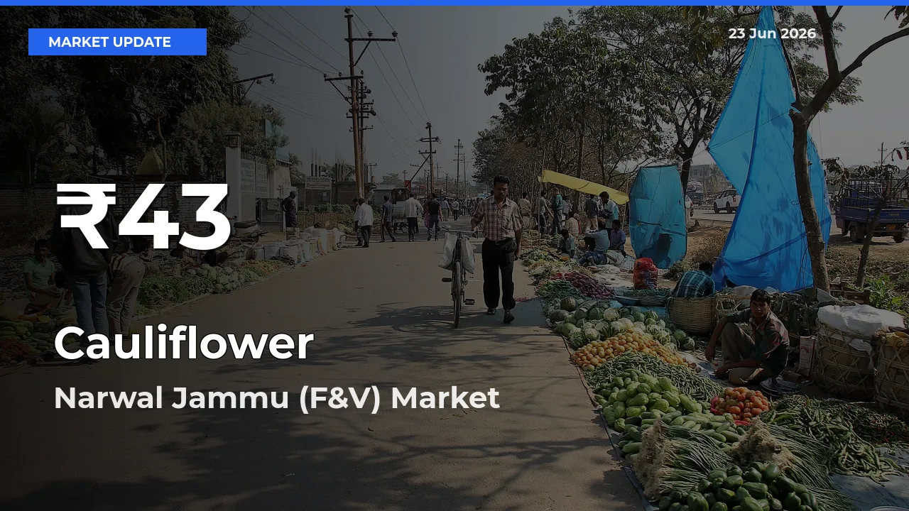 Cauliflower Falls to ₹43 in Narwal Jammu (F&V) – 30-Day Lowest Rate