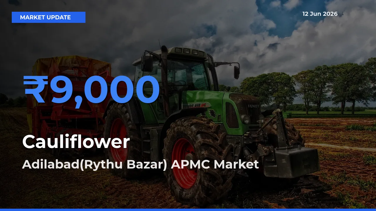Adilabad(Rythu Bazar) APMC Tops Cauliflower Mandi Rates Today