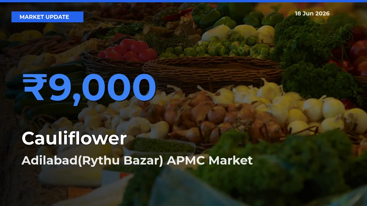 Cauliflower Mandi Rate Today: Adilabad(Rythu Bazar) APMC Tops the List
