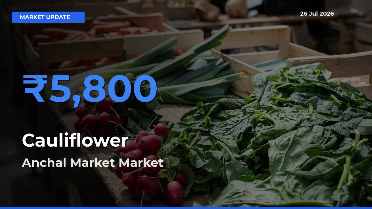 Farmers Prefer Anchal Market as Cauliflower Hits Highest Rate