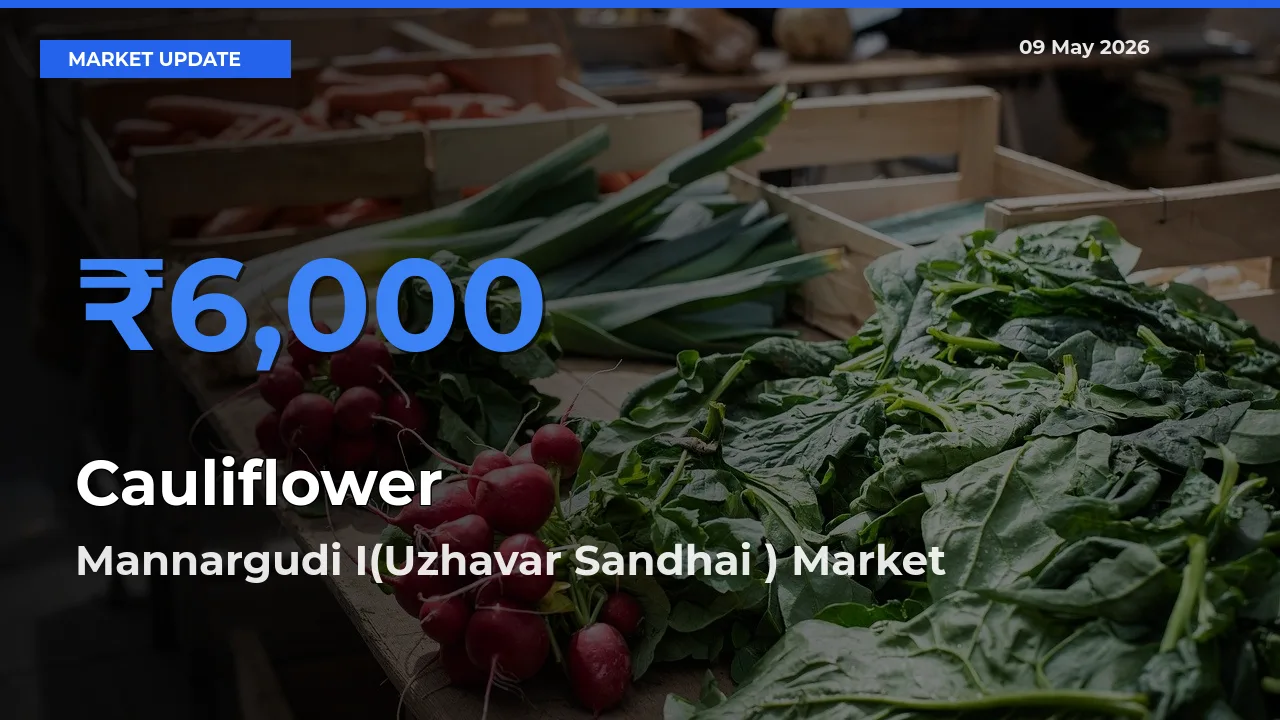 Mannargudi I(Uzhavar Sandhai ) Offers ₹6,000 – Highest Cauliflower Rate Today