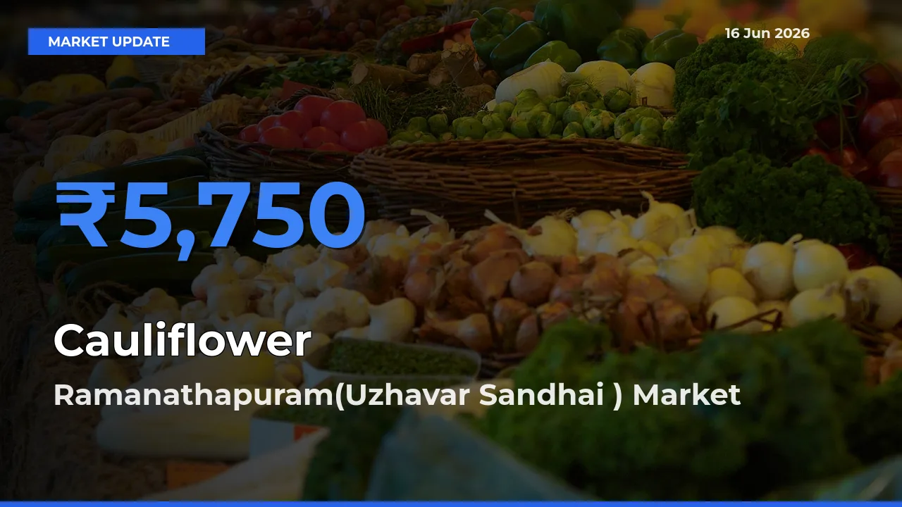 Top Performer! Ramanathapuram(Uzhavar Sandhai ) Offers Best Cauliflower Price Today