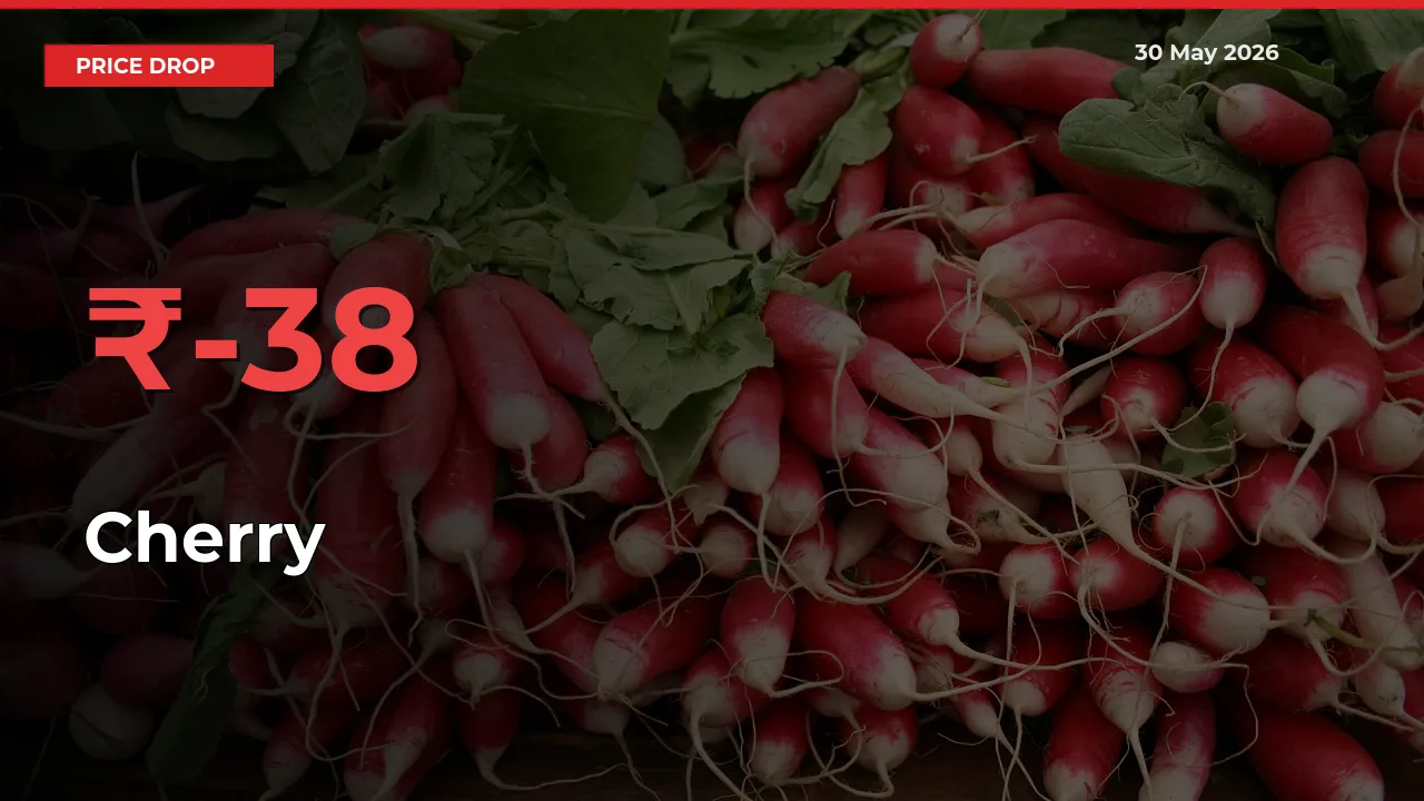 Sharp Fall! Cherry Prices Plunge 37.71% in a Day at Key Mandis