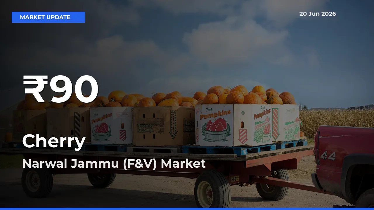 Farmers Concerned as Cherry Hits 30-Day Low in Narwal Jammu (F&V)