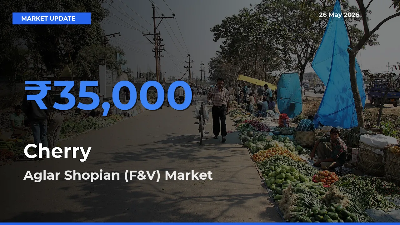 Top Performer! Aglar Shopian (F&V) Offers Best Cherry Price Today