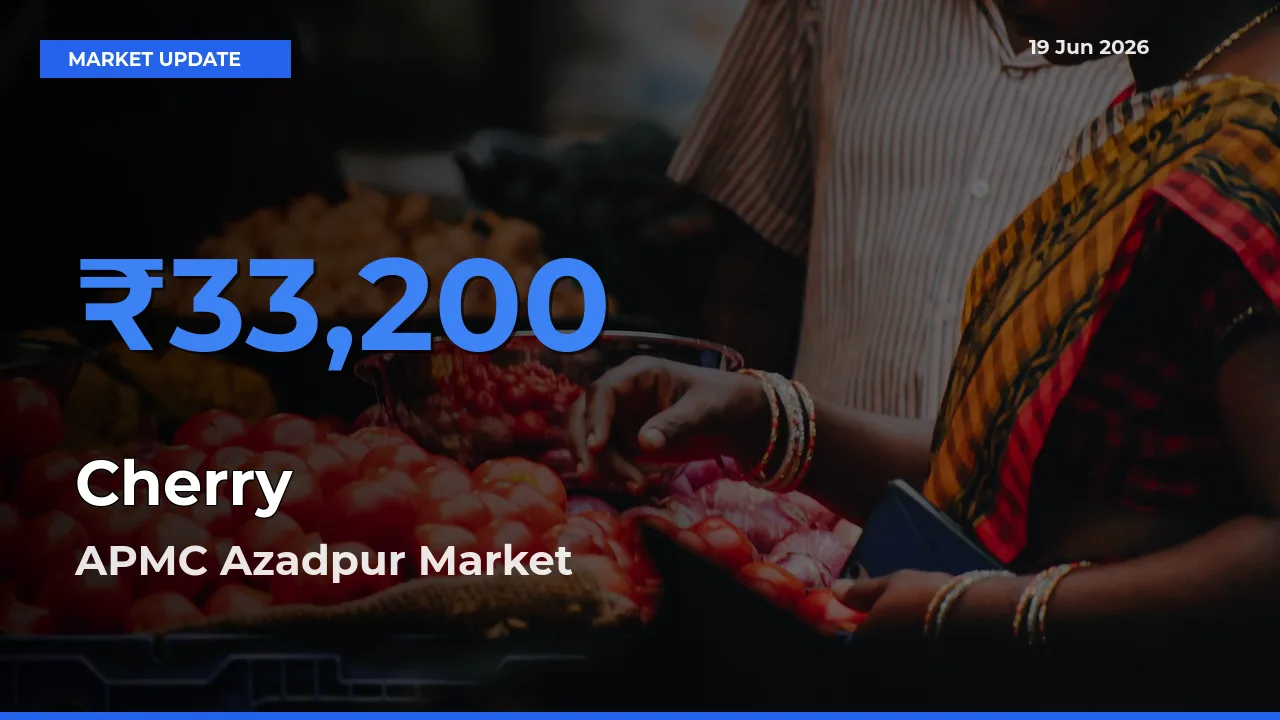APMC Azadpur Tops Cherry Mandi Rates Today