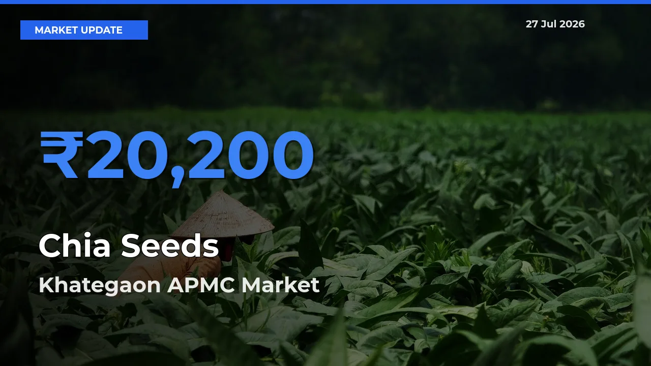 Khategaon APMC, Dewas, Madhya Pradesh Offers ₹20,200 – Highest Chia Seeds Rate Today