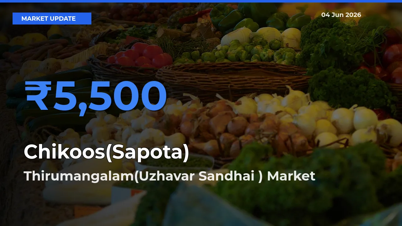 Thirumangalam(Uzhavar Sandhai ) Offers ₹5,500 – Highest Chikoos(Sapota) Rate Today