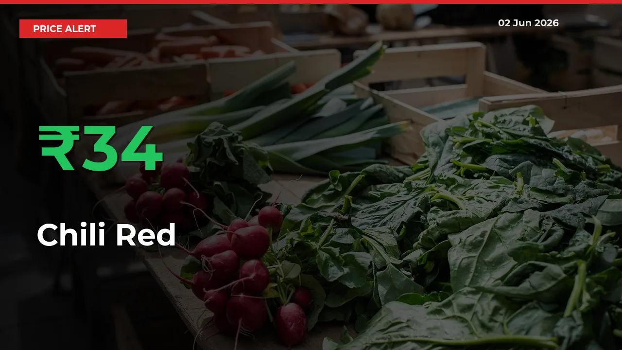 Chili Red Rises 34.01% at Mandis