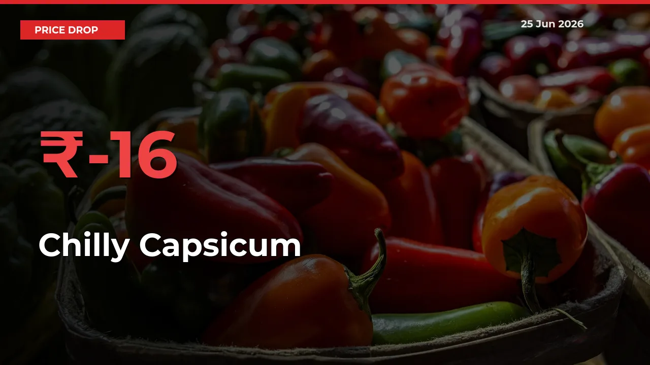 Sudden Shock! Chilly Capsicum Drops 15.94% in 24 Hours at Top Mandis