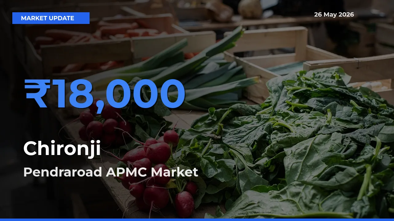 Farmers Prefer Pendraroad APMC as Chironji Hits Highest Rate