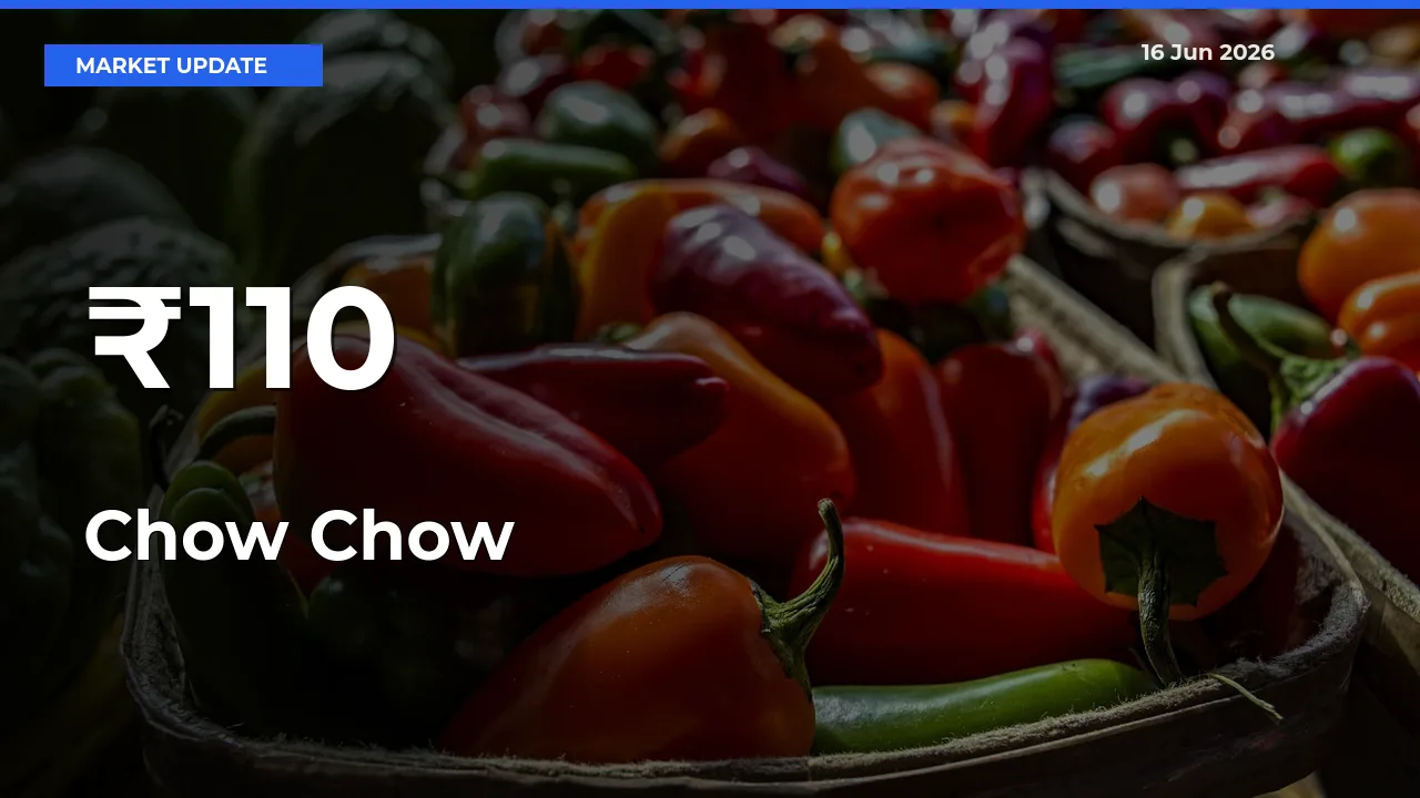 Multi-Mandi Trend Emerges as Chow Chow Prices Shift Across Key Markets