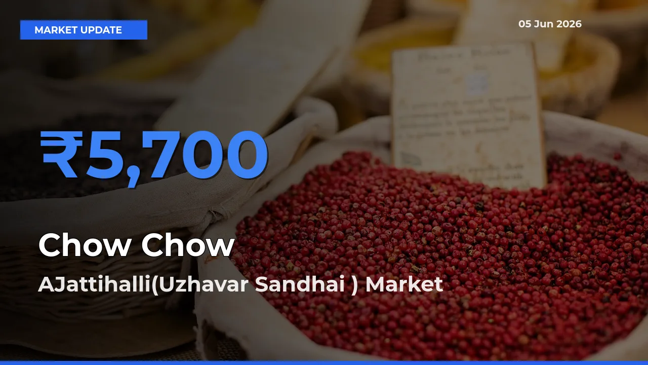 AJattihalli(Uzhavar Sandhai ) Emerges as Top Mandi for Chow Chow Prices Today
