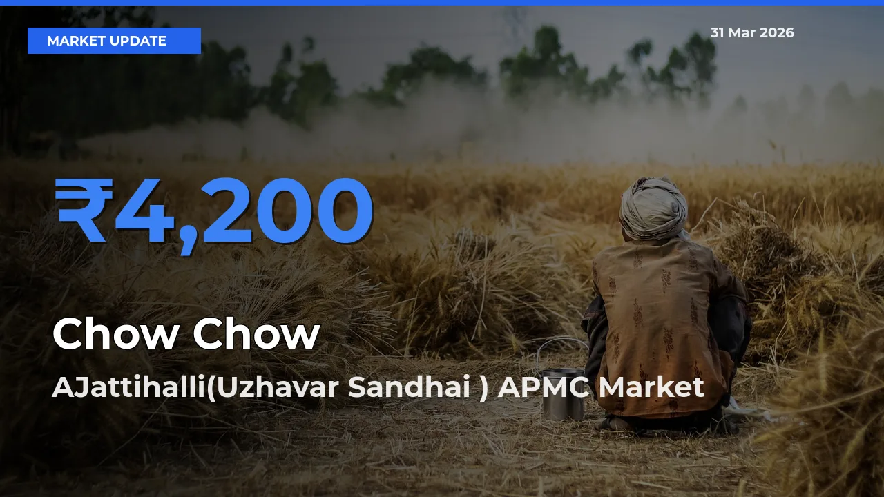 Chow Chow Mandi Rate Today: AJattihalli(Uzhavar Sandhai ) APMC Tops the List