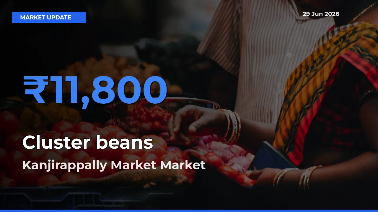 Kanjirappally Market Tops Cluster beans Mandi Rates Today