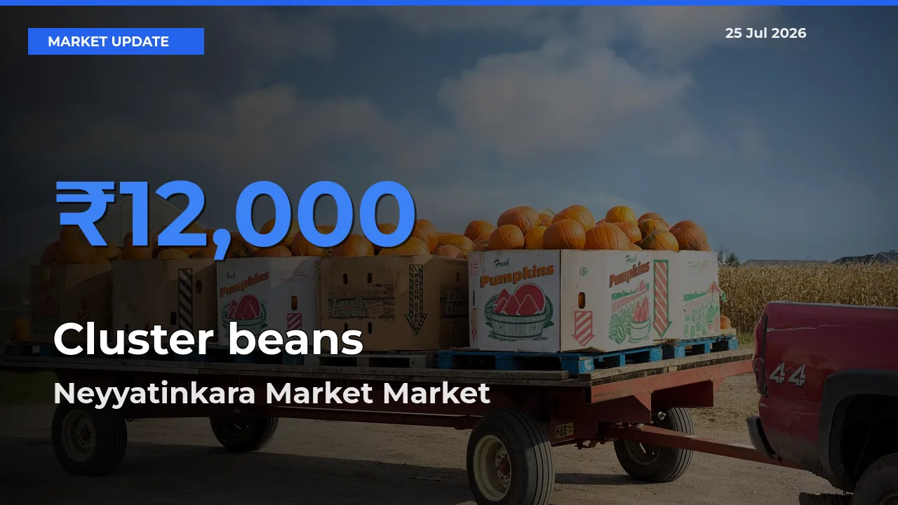 Farmers Prefer Neyyatinkara Market as Cluster beans Hits Highest Rate