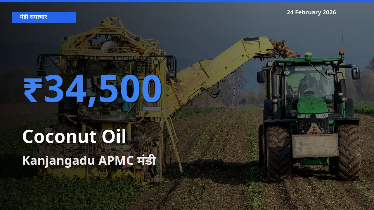 Kanjangadu APMC मंडी में आज Coconut Oil के सबसे ऊँचे दाम दर्ज