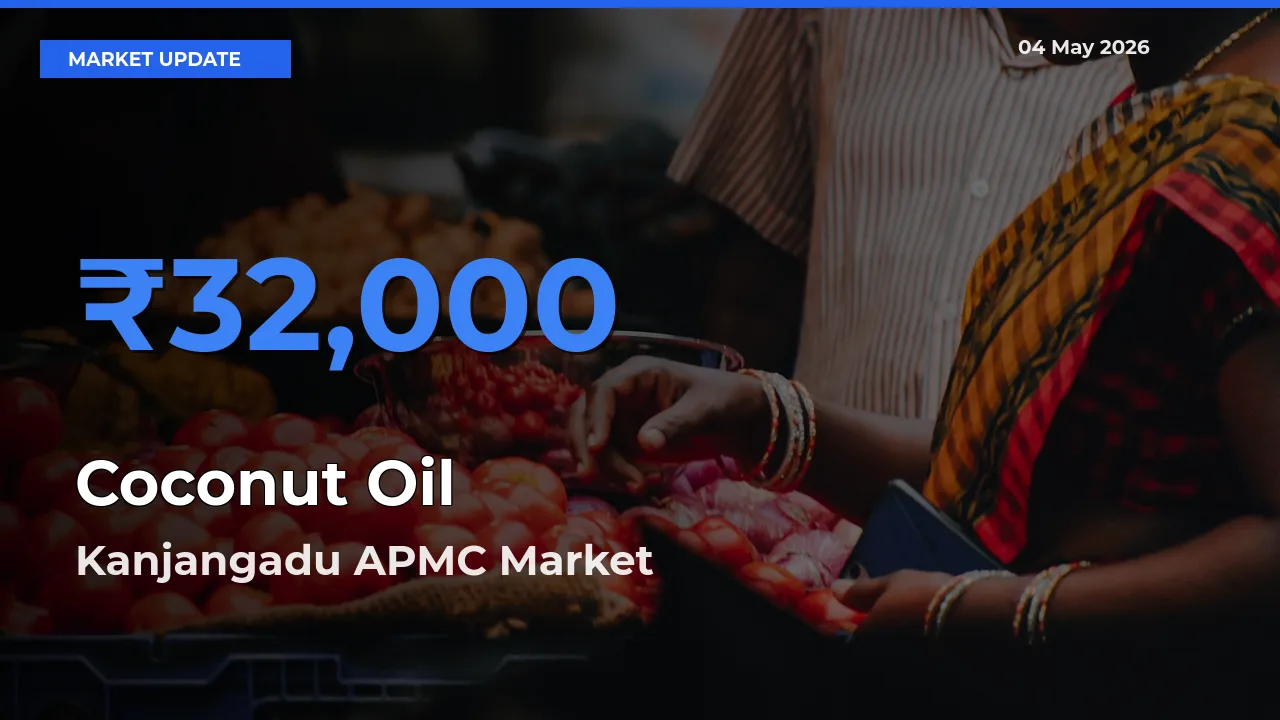 Kanjangadu APMC Tops Coconut Oil Rates – May 04 Market Update