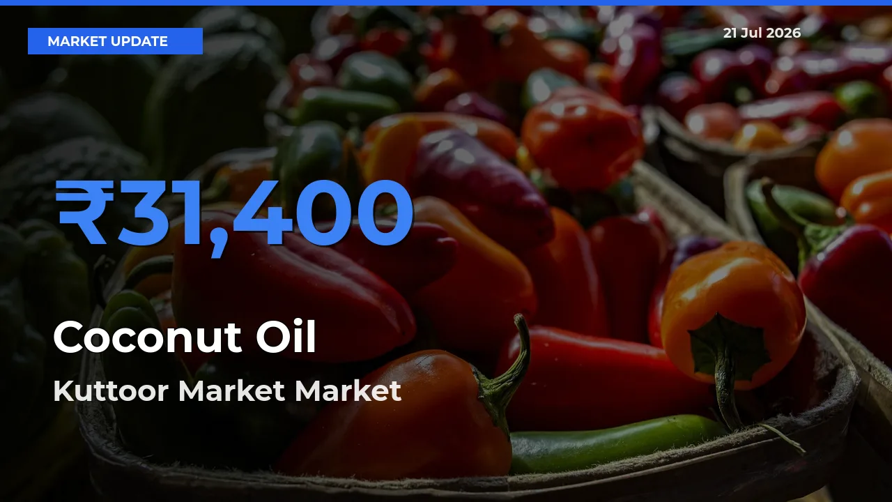 Market Watch: Kuttoor Market Becomes Top Mandi for Coconut Oil
