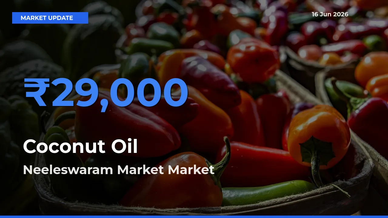 Neeleswaram Market Tops Coconut Oil Rates – June 16 Market Update