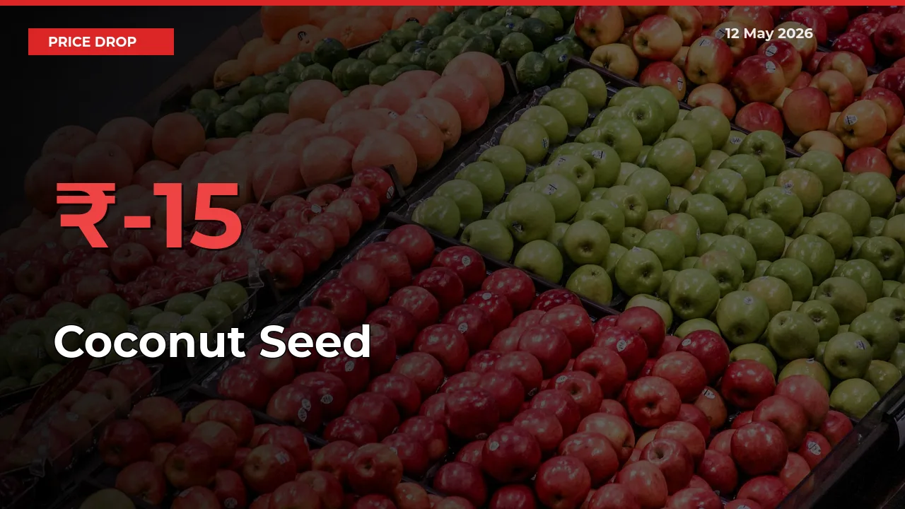 15.37% Drop in Coconut Seed Prices – Mandi Sees Sudden Fall