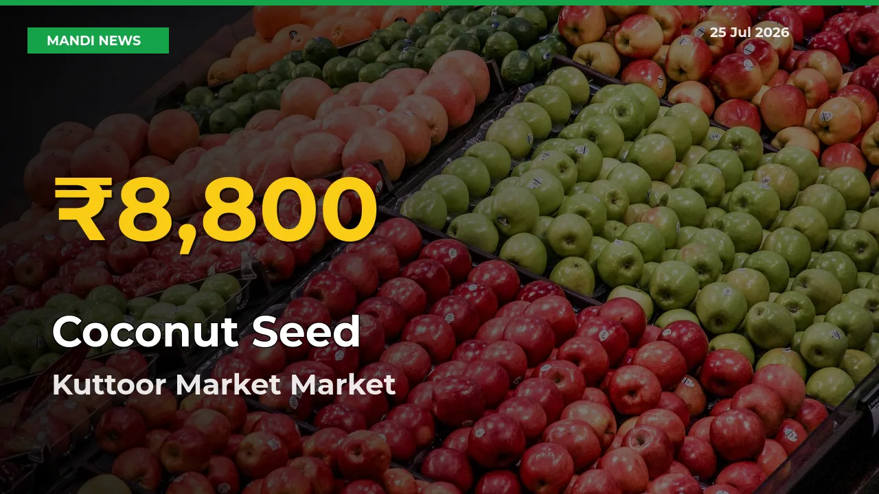 Coconut Seed Hits Fresh High in Kuttoor Market Today