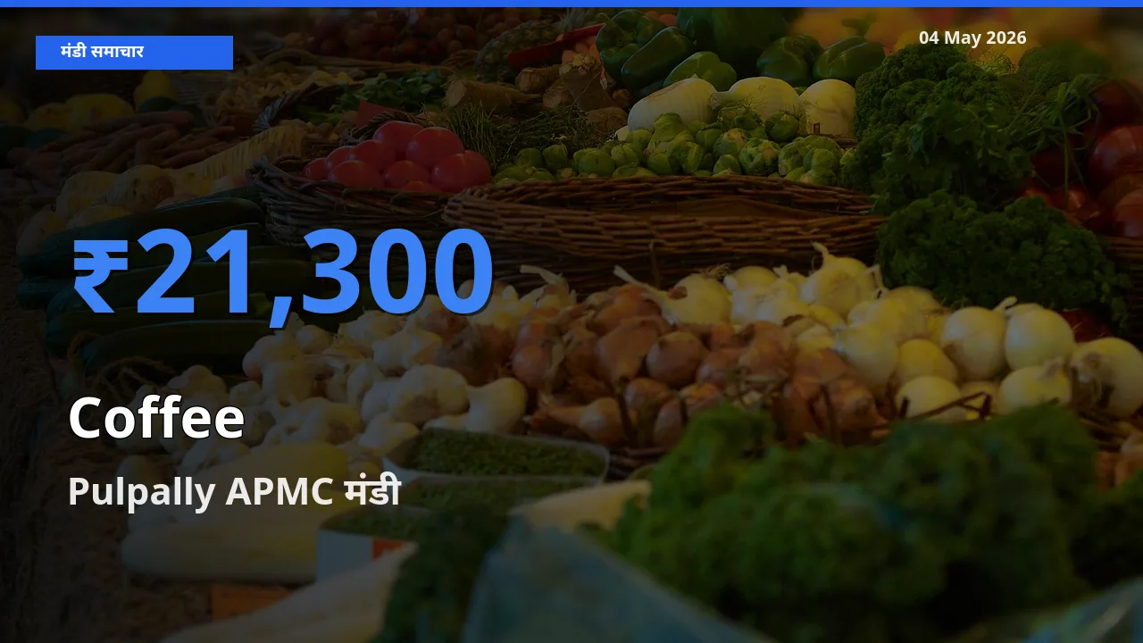 Pulpally APMC मंडी में आज कॉफी के सबसे ऊँचे दाम दर्ज