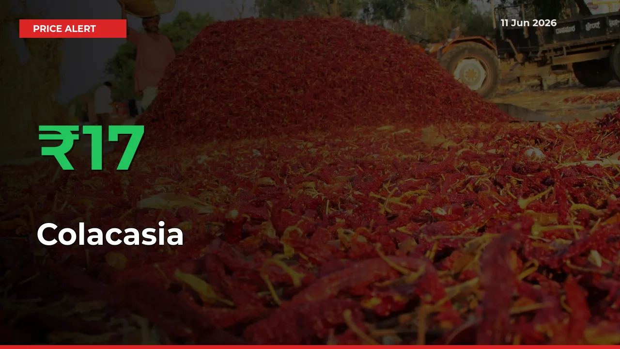 This Mandi Records 16.51% Jump in Colacasia Prices
