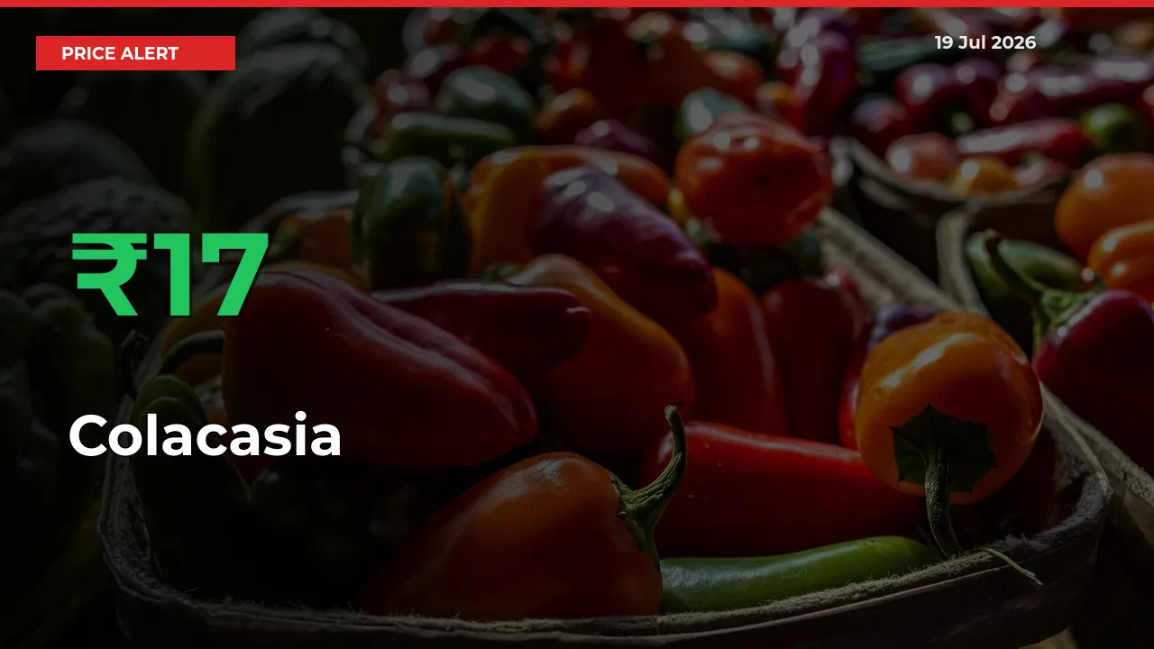 Colacasia Mandi Rate Today: Prices Jump 17.11% at Market