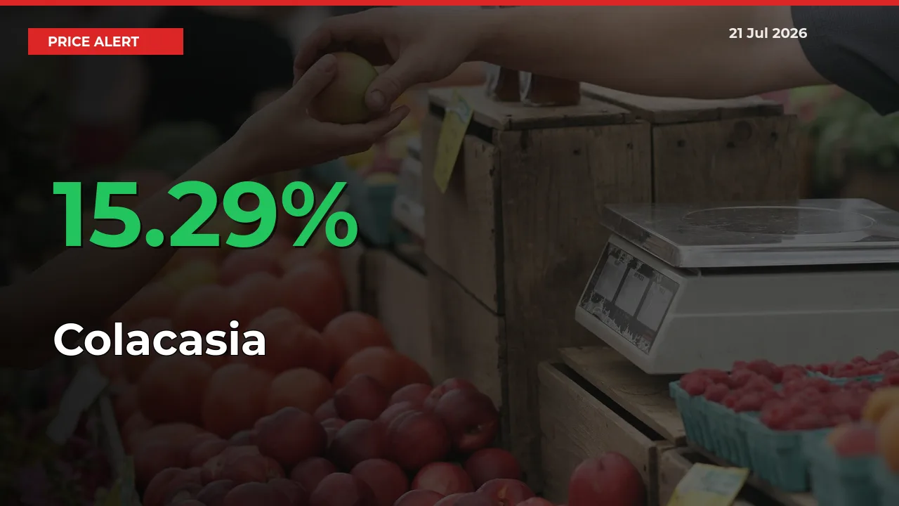 Colacasia Rises 15.29% at Mandis