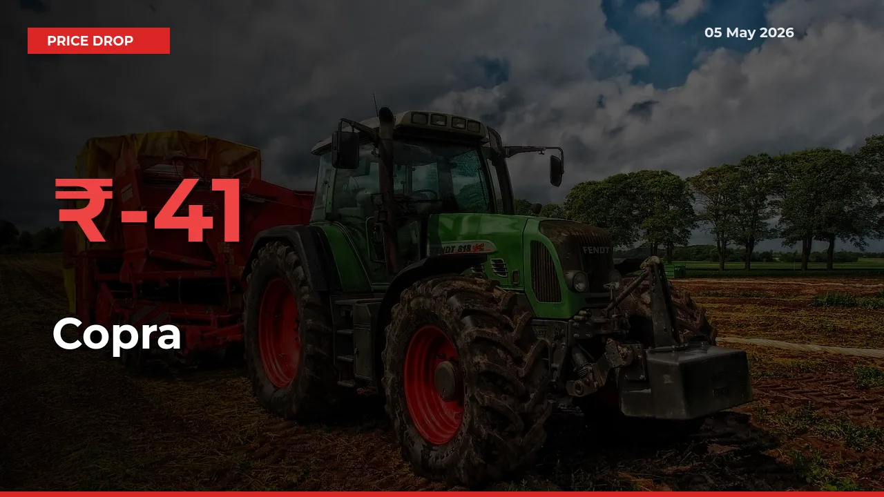 Copra Prices Drop 41.42% in 24 Hours at Major Mandis