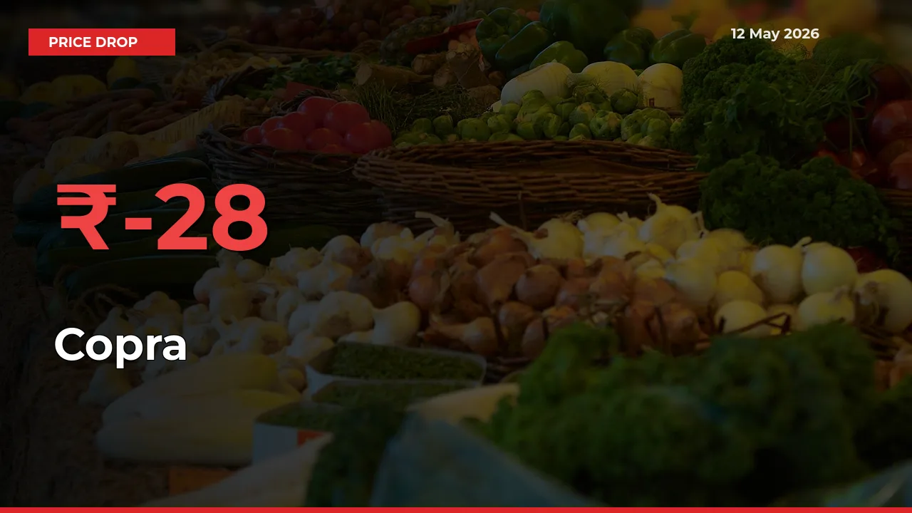 Farmers Alert as Copra Prices Slide 27.85% in Local Mandis