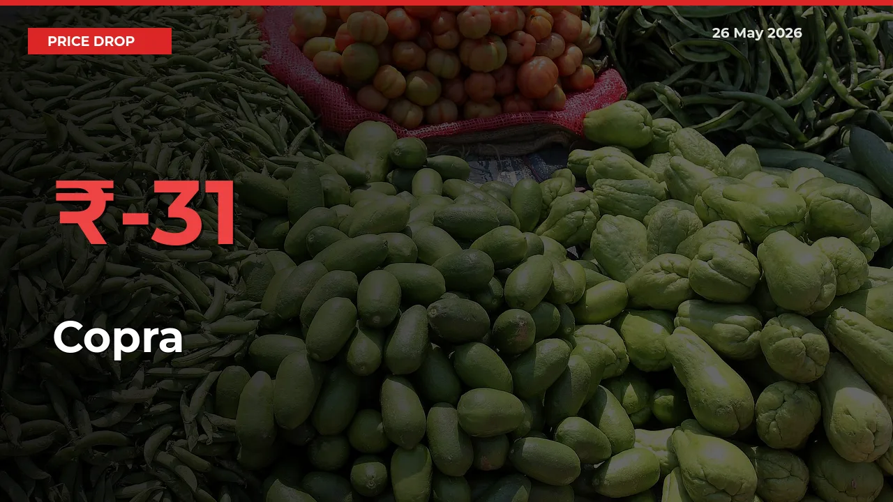 Copra Mandi Rate Today: Prices Fall 31.31% at Market