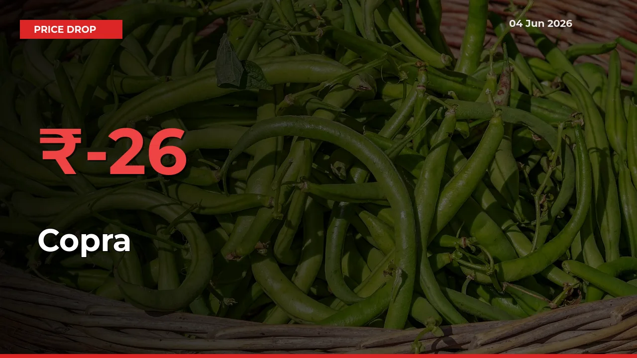 Copra Prices Drop 25.96% in 24 Hours at Major Mandis