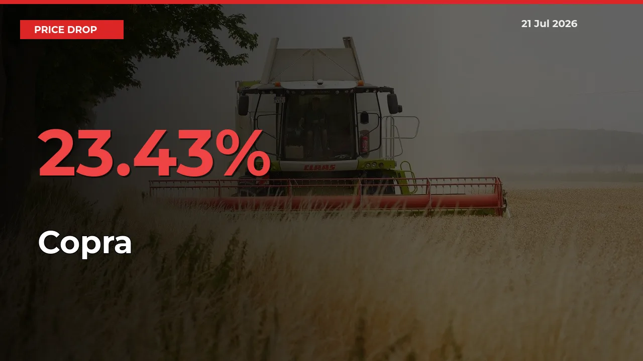 Farmers Alert as Copra Prices Slide 23.43% in Local Mandis