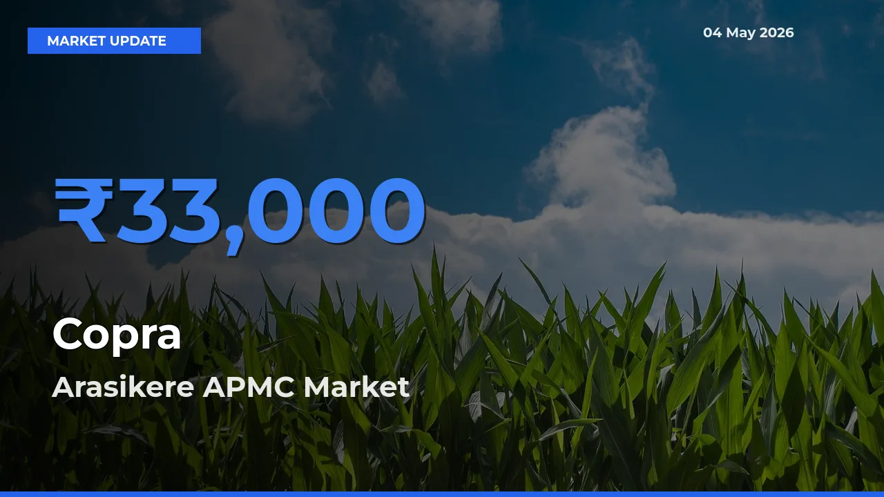 Arasikere APMC Tops Copra Mandi Rates Today