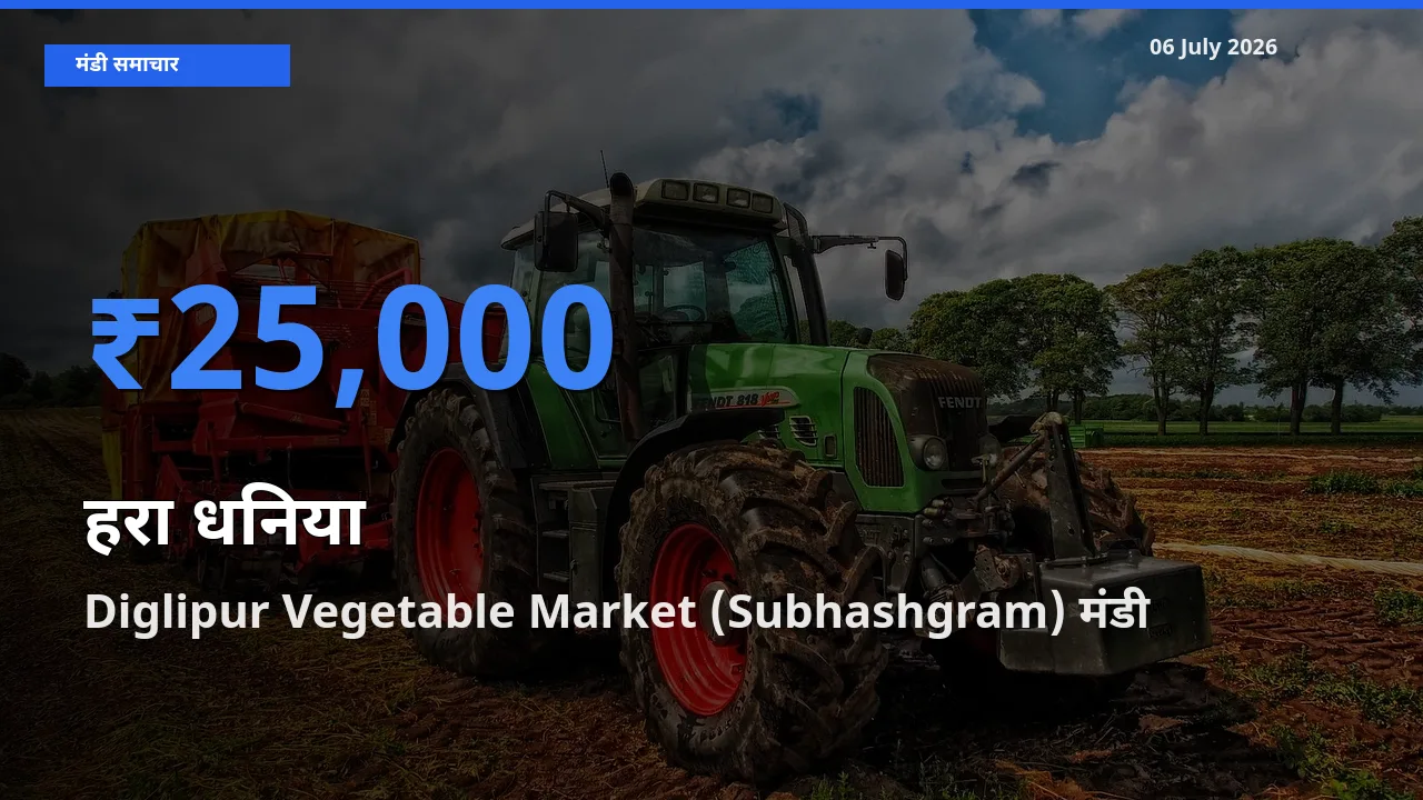 Diglipur Vegetable Market (Subhashgram) में हरा धनिया का आज सबसे ऊँचा भाव