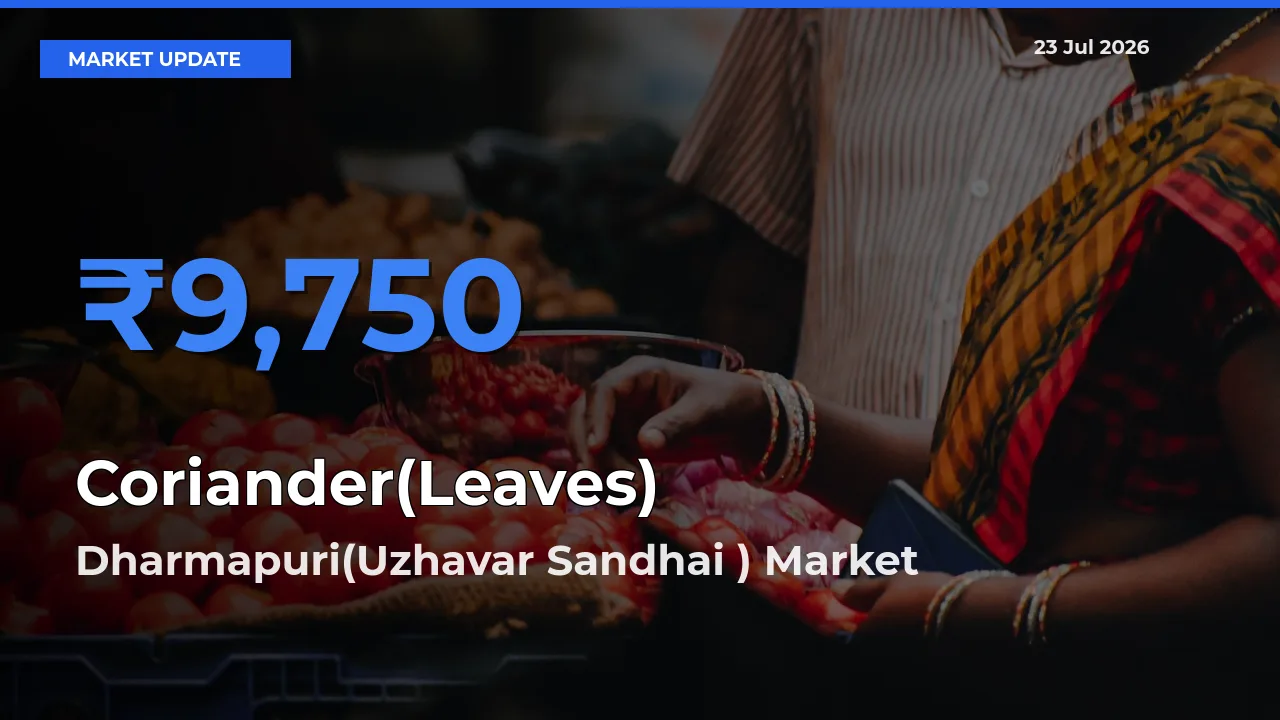 Dharmapuri(Uzhavar Sandhai ) Records Highest ₹9,750 Rate for Coriander(Leaves)