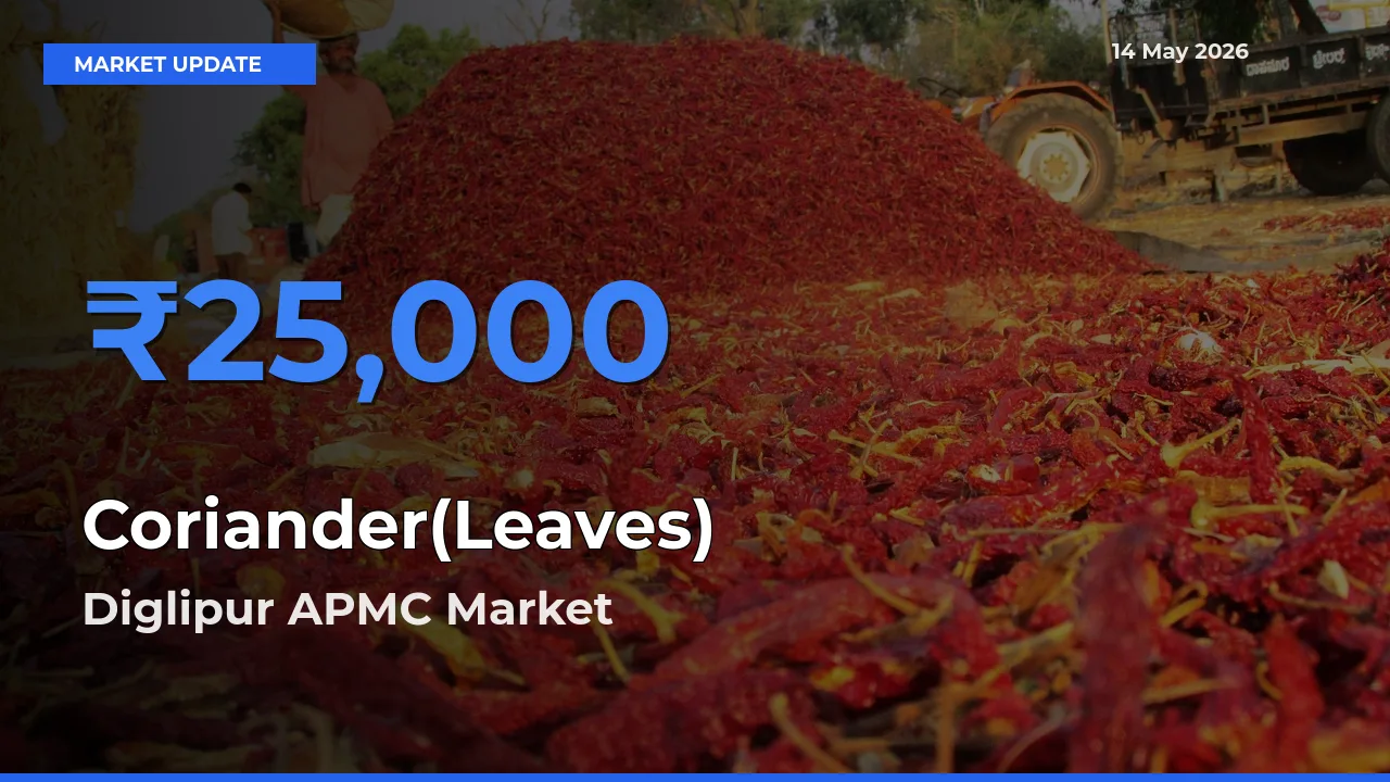 Diglipur APMC Leads as Top Mandi for Coriander(Leaves) Prices