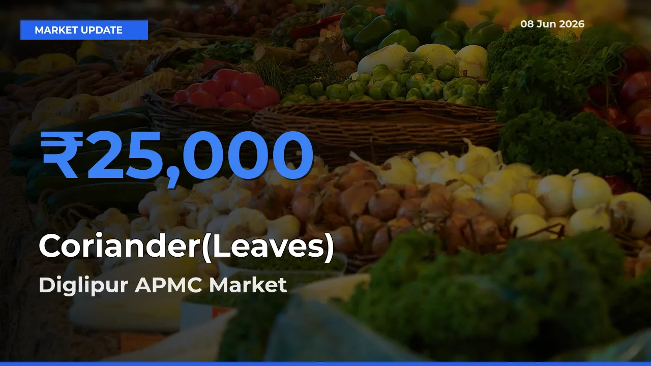 Diglipur APMC Emerges as Top Mandi for Coriander(Leaves) Prices Today