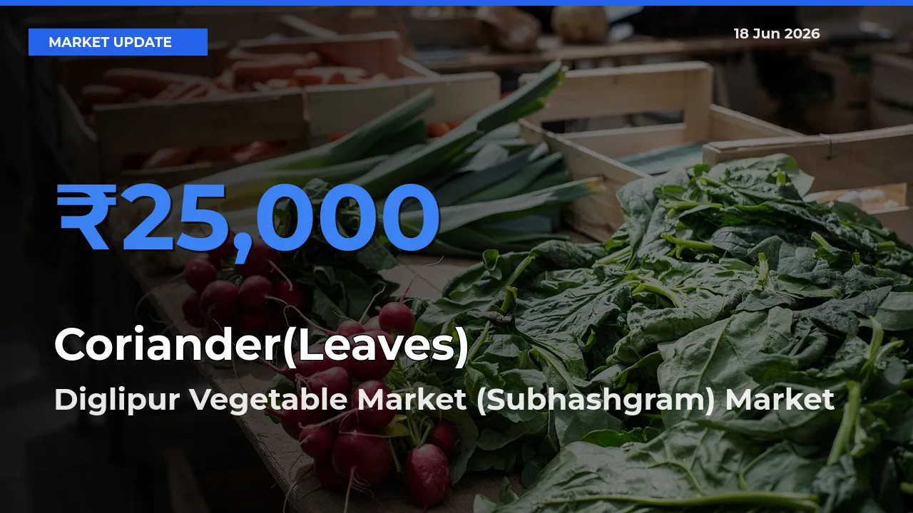 Diglipur Vegetable Market (Subhashgram) Emerges as Top Mandi for Coriander(Leaves) Prices Today