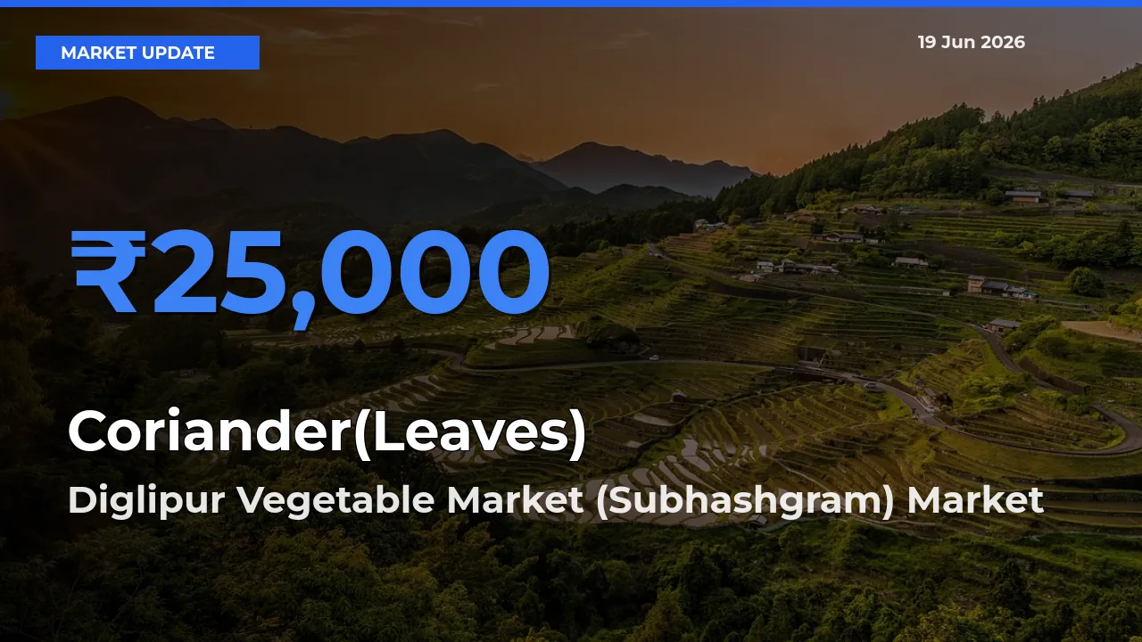 Diglipur Vegetable Market (Subhashgram) Leads as Top Mandi for Coriander(Leaves) Prices