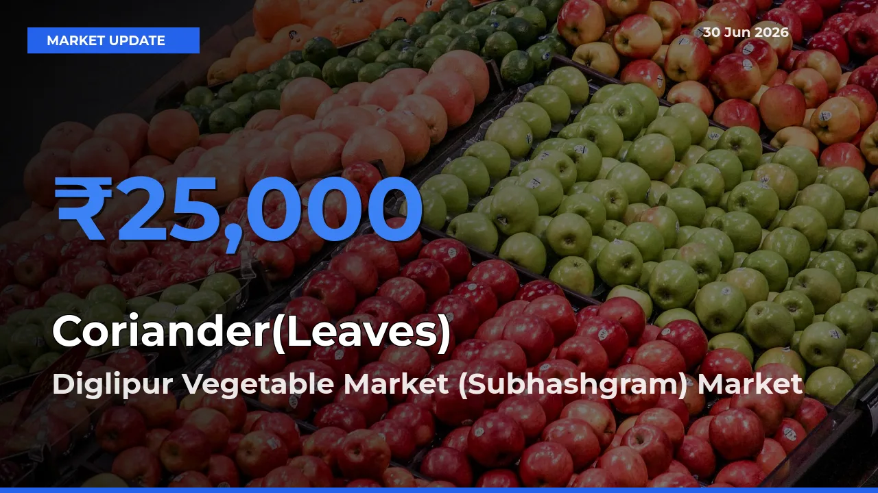 Diglipur Vegetable Market (Subhashgram) Tops Coriander(Leaves) Rates – June 30 Market Update