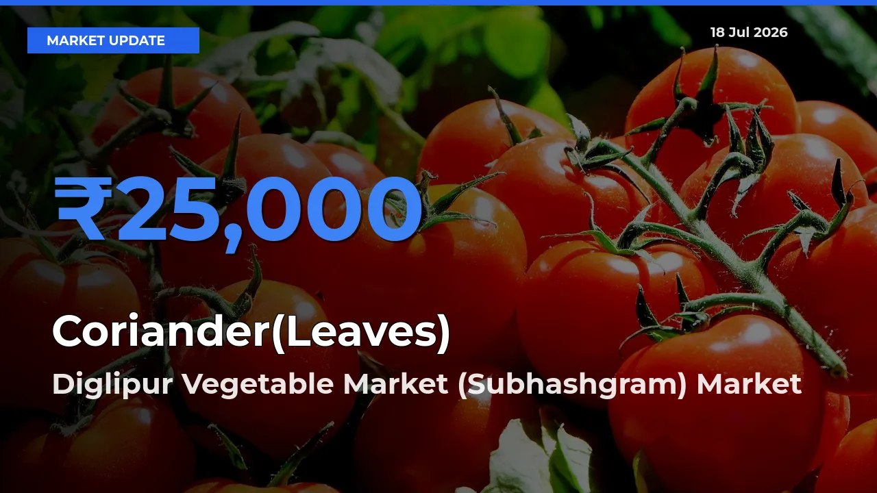 Diglipur Vegetable Market (Subhashgram) Leads as Top Mandi for Coriander(Leaves) Prices